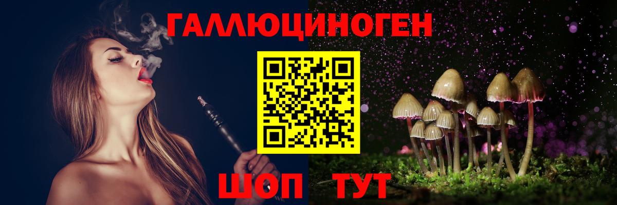 Псилоцибиновые грибы Psilocybe Белореченск